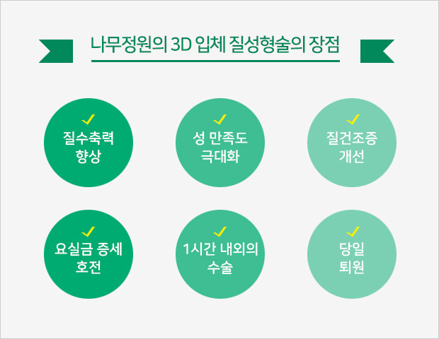 나무정원의 3D 입체 질성형술의 장점