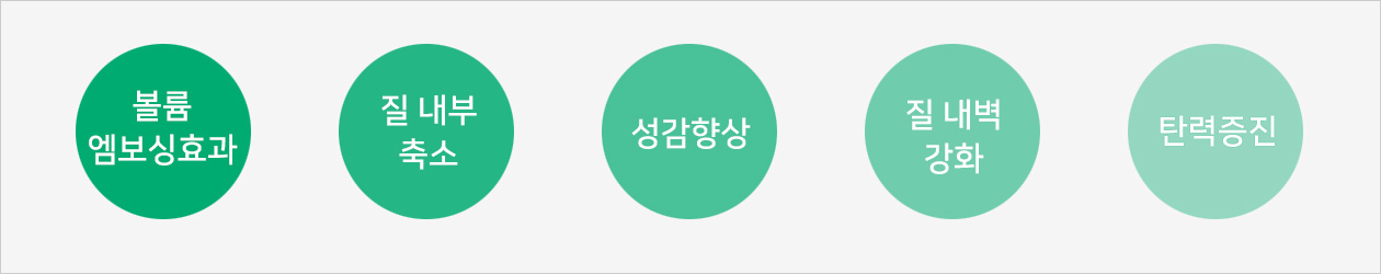 질성형 사진