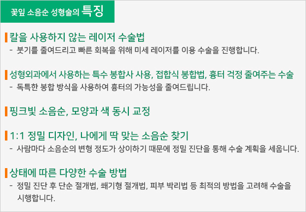 꽃잎 소음순 성형술의 특징