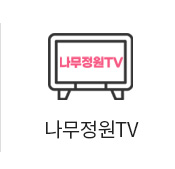 나무정원	tv